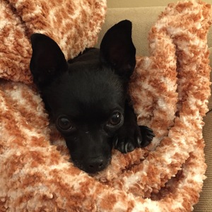 Fundraising Page: Christina Johansen